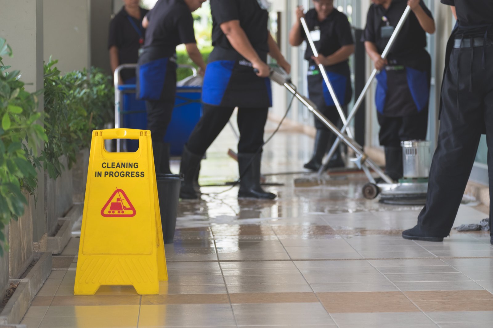 Tailored business cleaning service